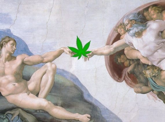 Halo Labs